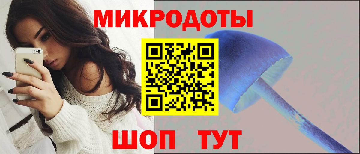 Реж  Псилоцибиновые грибы Psilocybe  Вход с VPN 